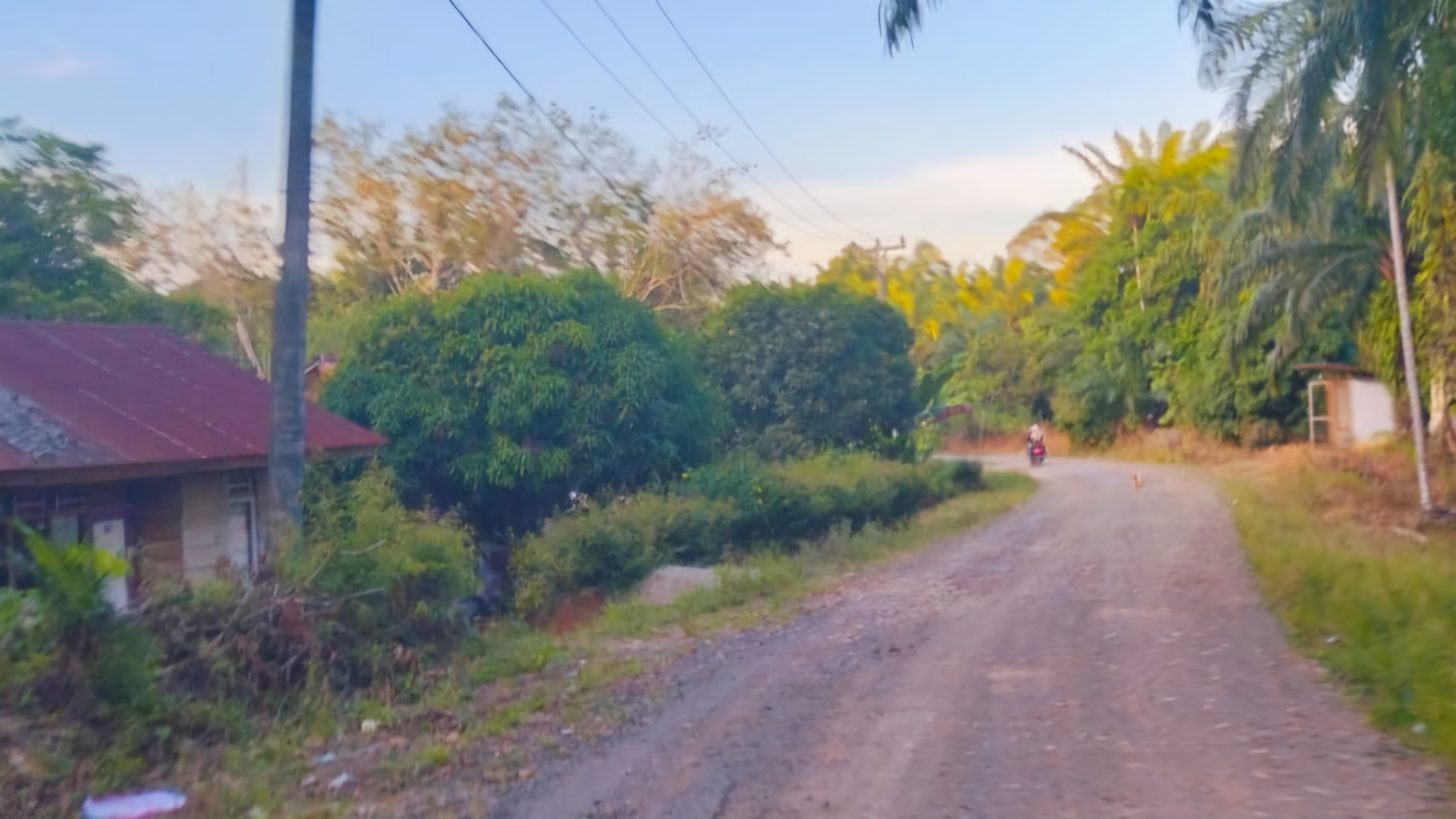 Jalan Rusak Parah, Warga Mekar Jaya Kesulitan Akses Layanan Publik