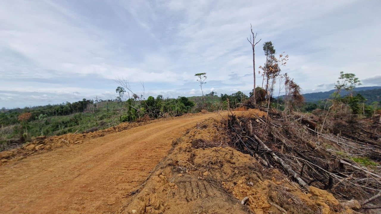 Ditjen PHL Kemenhut Disinyalir Melindungi Kelalaian PT API dan BAT, 2 pemegang BPHP di Bentang Seblat Bengkulu
